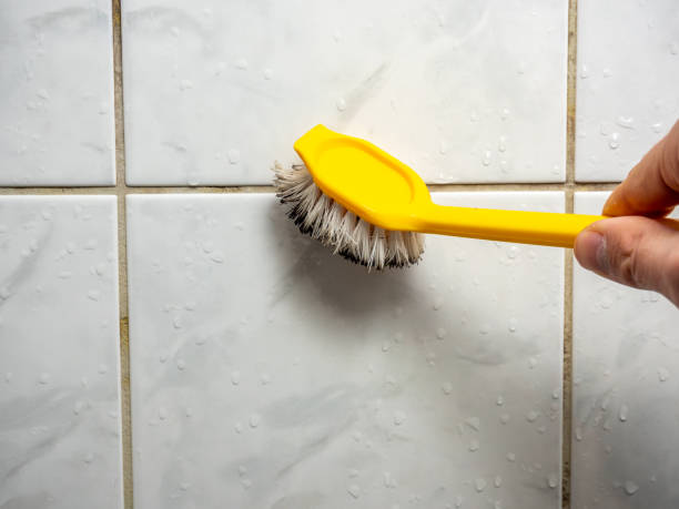 Best Toxic Mold Removal  in Washington, MO