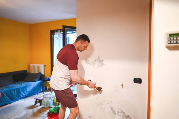 Professional Mold Removal in Washington, MO